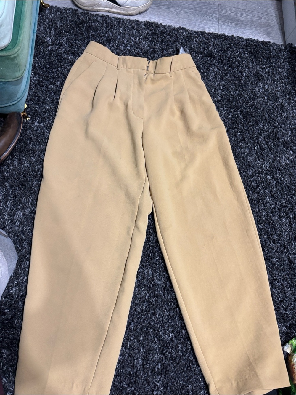 Men's Pleated Trousers in Tan